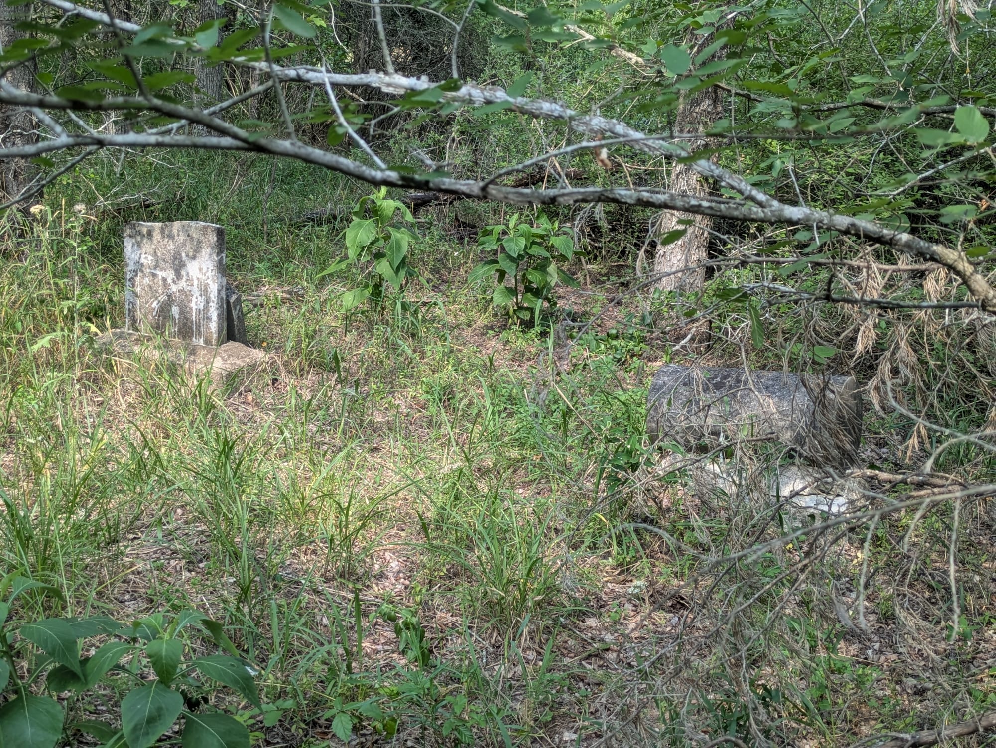 Moss Branch Cemetery