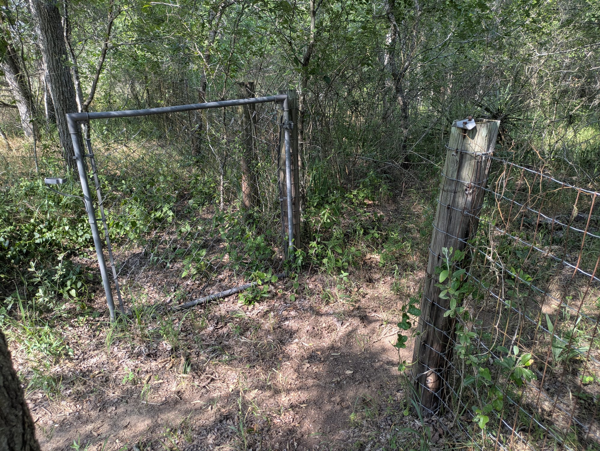 Moss Branch Cemetery